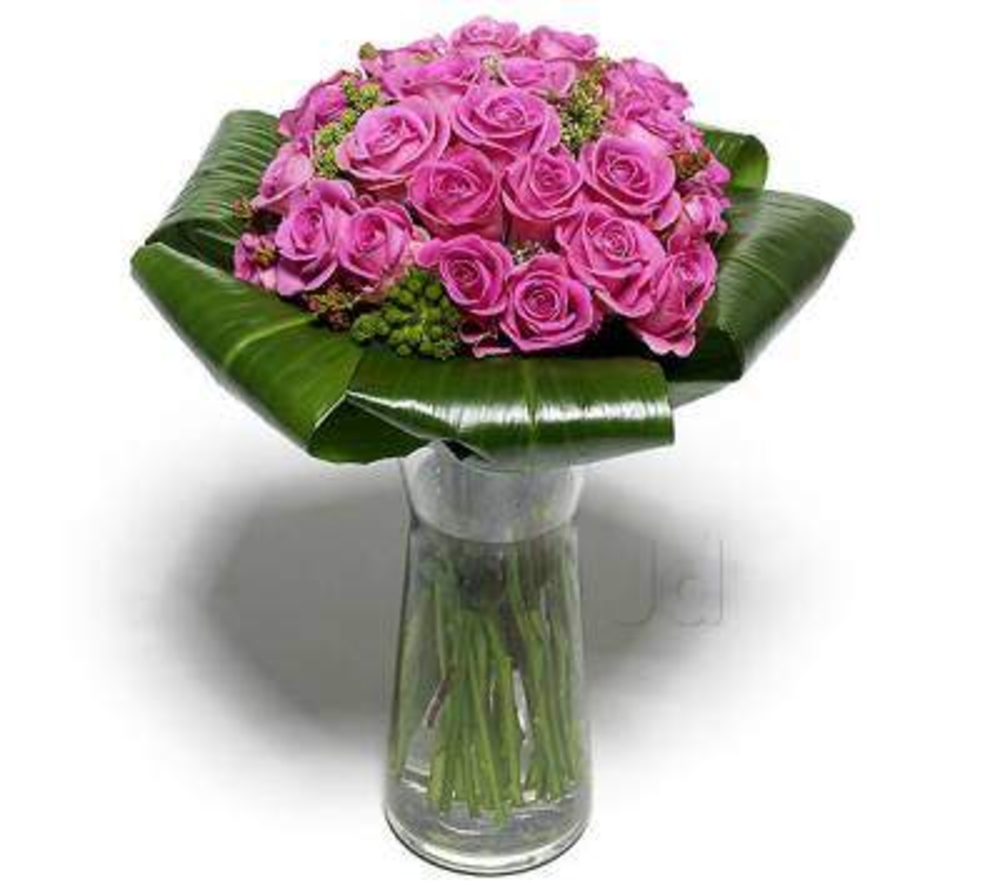 Vase with 30 Purple Roses , with folded green leaves.