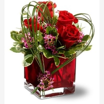 Precious Love Flowers