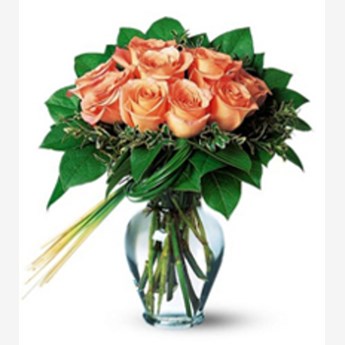 Perfectly-Peachy-Roses