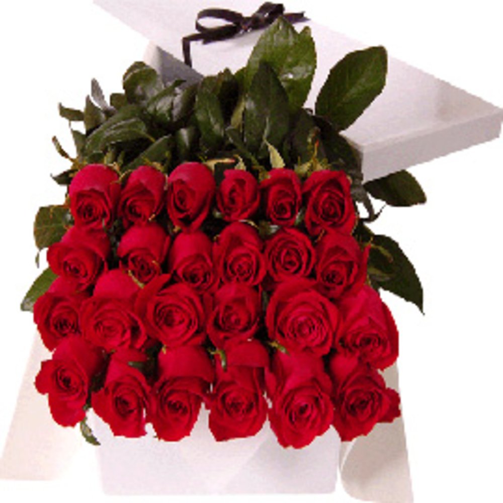 Bunch with 24 Red Roses