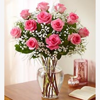 Premium Long Stem Pink Roses