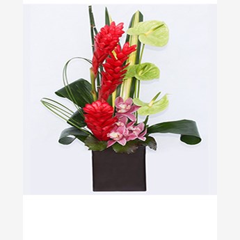 Birds of Paradise Vase Arrangement