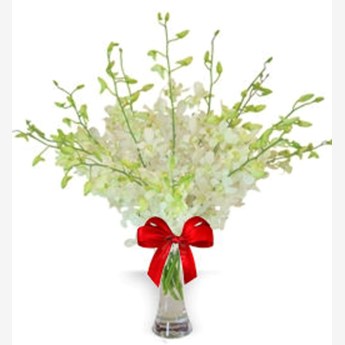 Vase with 20 White Orchids