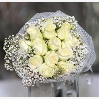 12 White Roses