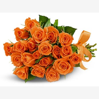 40 Orange Roses