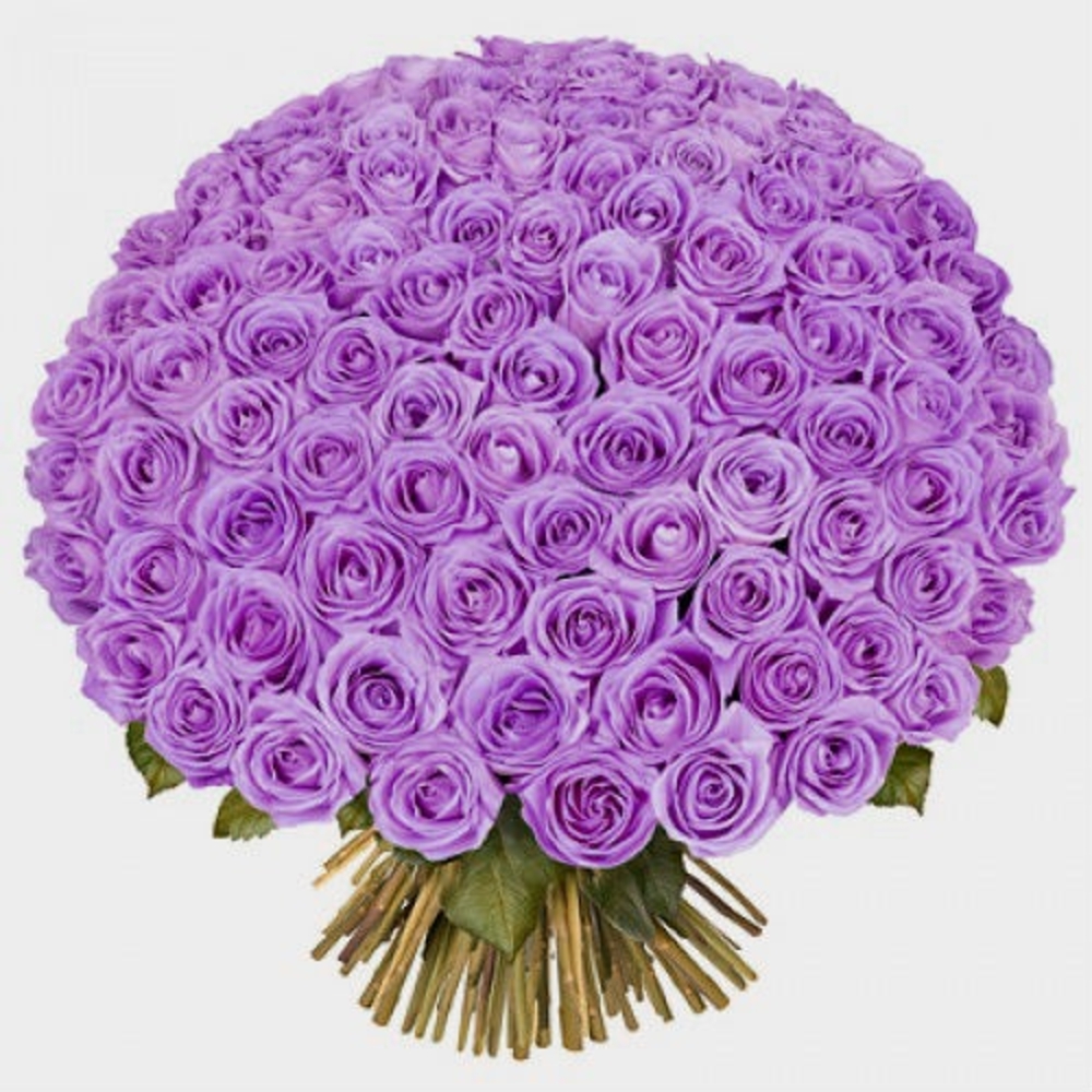 Marvelous Purple Roses Bouquet